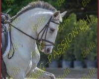 BULLE 0911